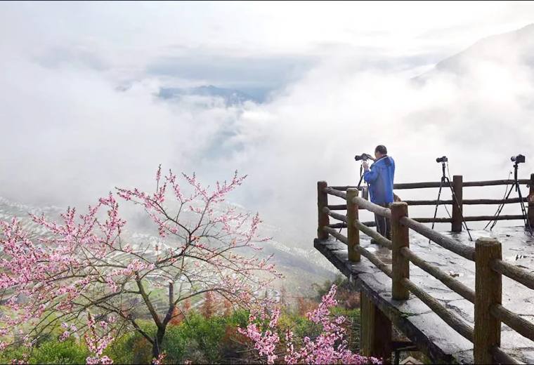 【3月18/28日出发】十里桃花+龙脊梯田+漓江风光6日专业摄影团