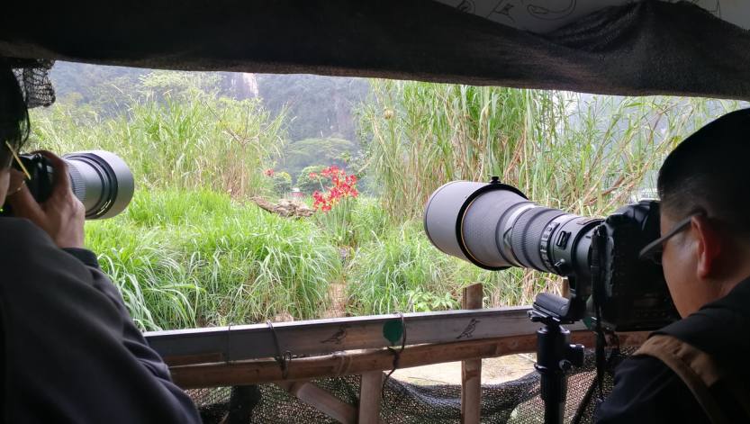 2021年3月崇左打鸟拍猴、德天瀑布、漓江龙脊专业摄影团 (2)