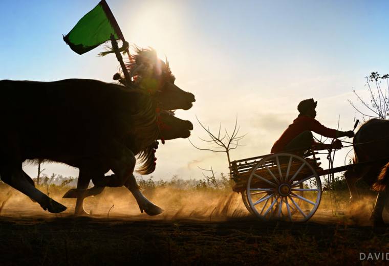 【独家精品】巴厘岛巴厘岛7天专业摄影之旅，三名随团模特，九次日出日落拍摄