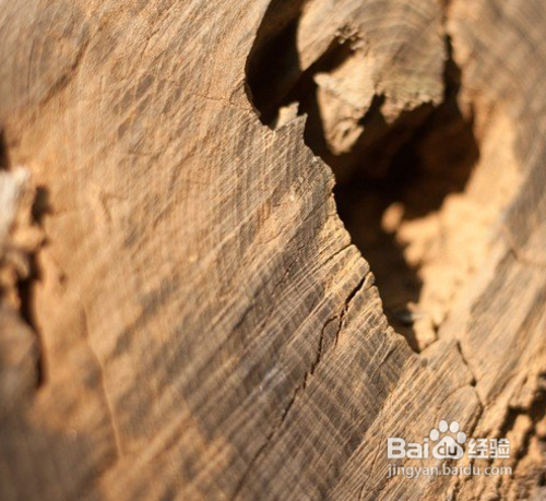 难以抗拒的诱惑 选择定焦镜头的六个理由