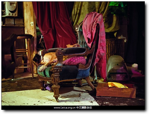 『他们在拍什么』Ollie Harrop，所有闪亮的东西都是黄金