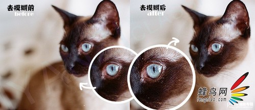 Photoshop CC新功能 揭秘防抖滤镜的运用