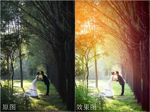 树林人像美化处理 教你做出彩虹渐变色