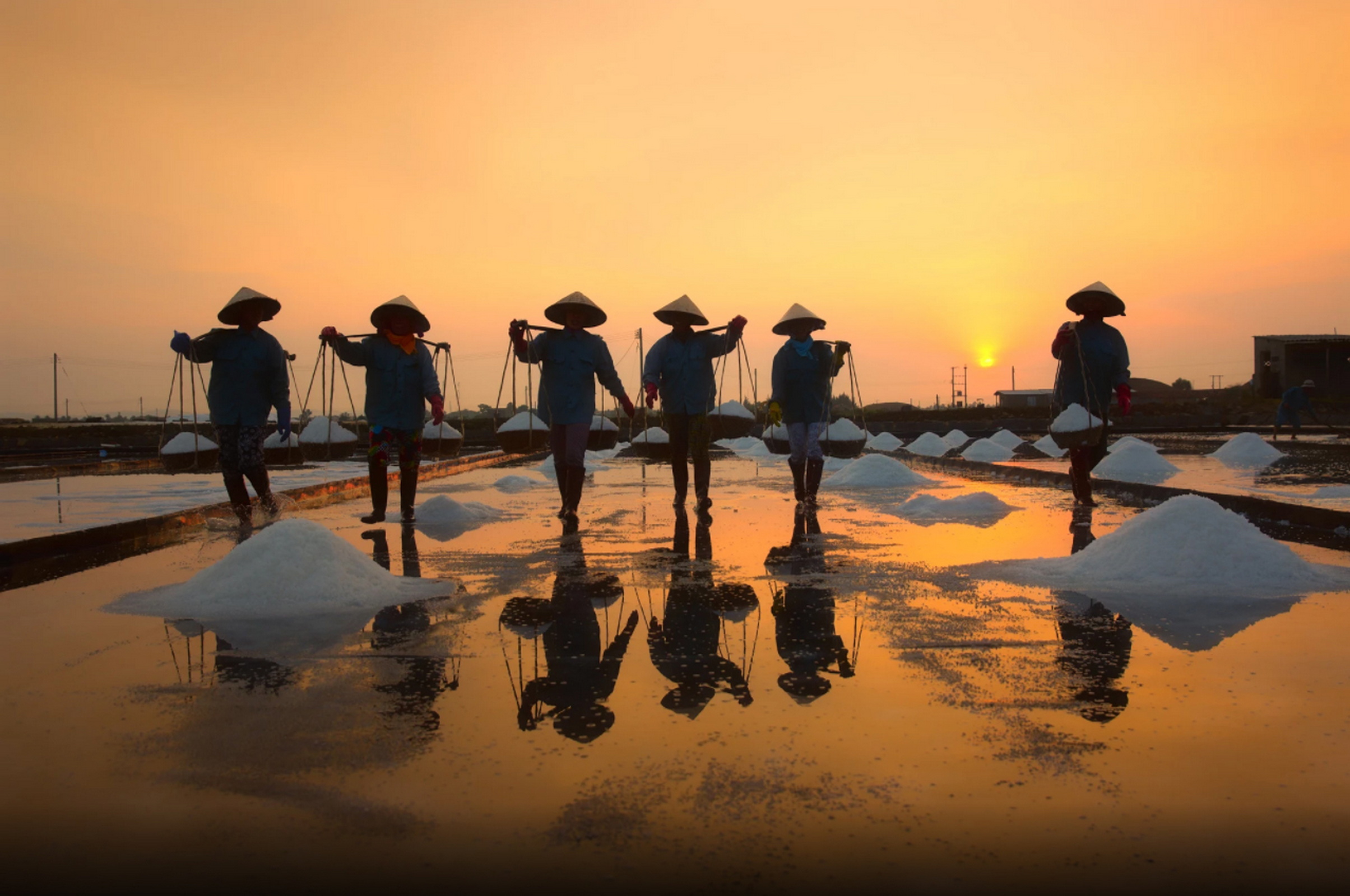 越南农民利用水稻对河内有场.高清摄影大图-千库网
