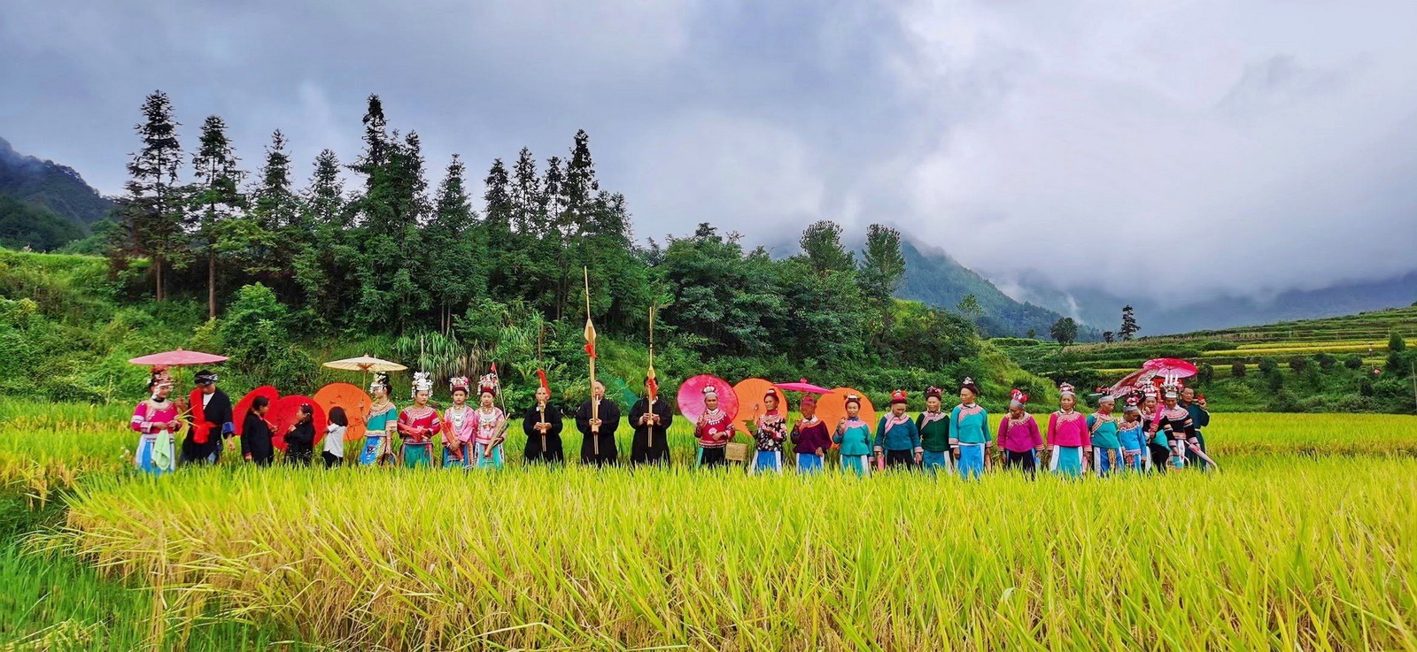 贵州少数民族 (2)